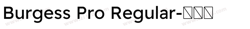 Burgess Pro Regular字体转换
